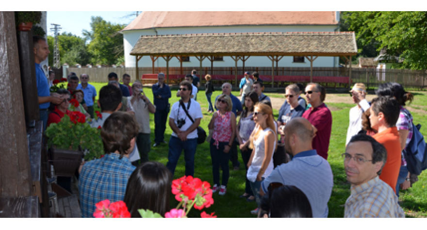 Modelne šume Jadranske regije